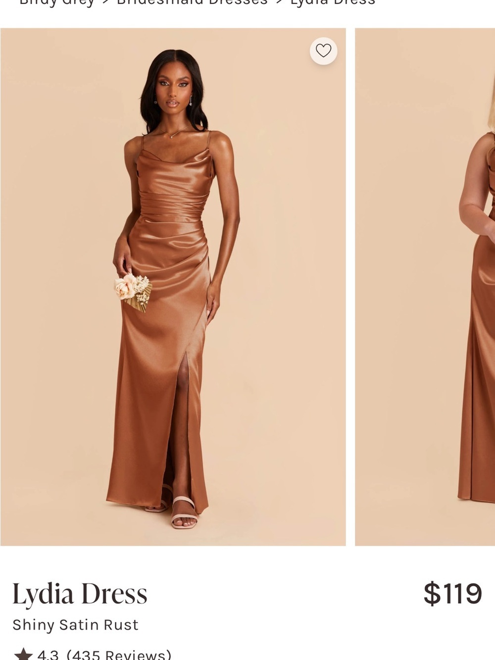 Birdy Grey Lydia Dress in Shiny Satin Rust